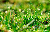 Contact Agriland 2000 Romania