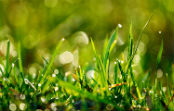 Contact Agriland 2000 Romania
