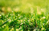 Contact Agriland 2000 Romania