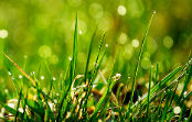 Contact Agriland 2000 Romania