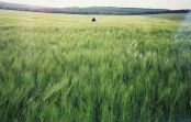 Agriland 2000 Romania