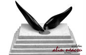 Agribusiness Brand Agriculture Consultancy