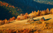 Agribusiness Romania