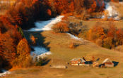Agribusiness Romania