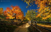 Agriculture Agribusiness Romania Consultancy