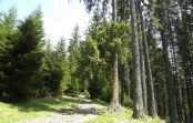 Agricultural Consultancy Agriland 2000