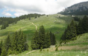 Agribusiness Consultancy Agriland 2000
