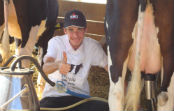 Agriculture Agribusiness Romania AGriland 2000