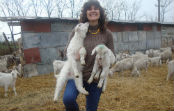 Agriland 2000 Agribusiness Strategy Romania Europe
