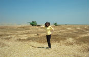 Agriland 2000 Agribusiness Strategy