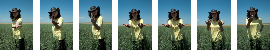 Agriland 2000 Consultancy